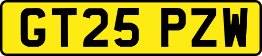 GT25PZW