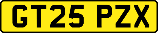 GT25PZX