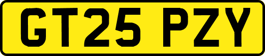 GT25PZY