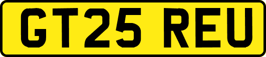 GT25REU