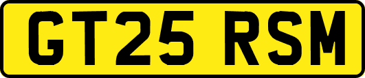 GT25RSM