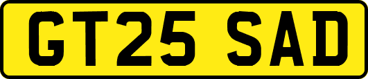 GT25SAD