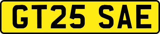 GT25SAE