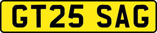 GT25SAG