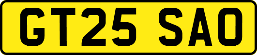 GT25SAO