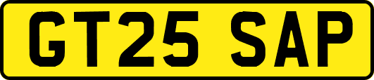 GT25SAP
