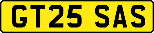 GT25SAS