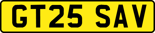 GT25SAV
