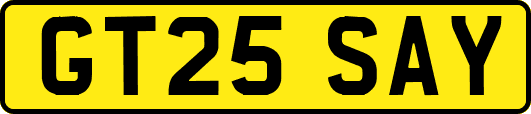 GT25SAY