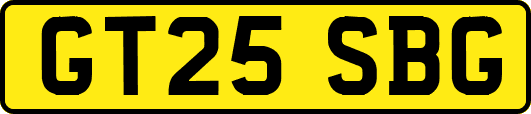 GT25SBG