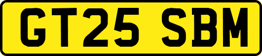 GT25SBM