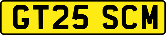 GT25SCM