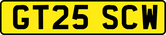 GT25SCW
