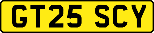 GT25SCY