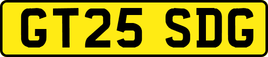 GT25SDG