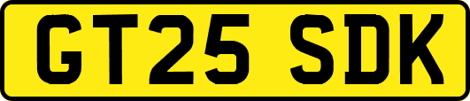 GT25SDK