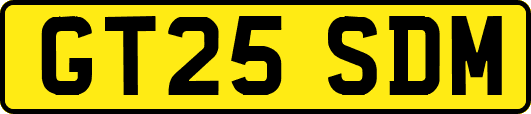 GT25SDM