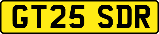 GT25SDR