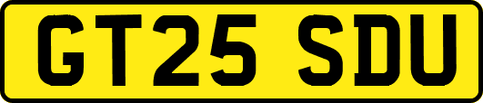 GT25SDU