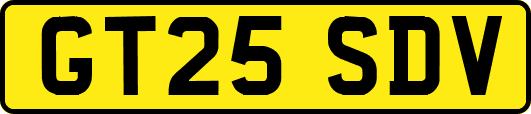 GT25SDV