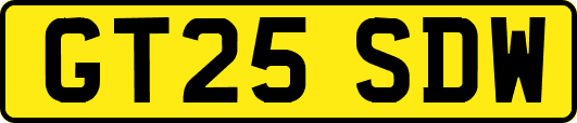 GT25SDW