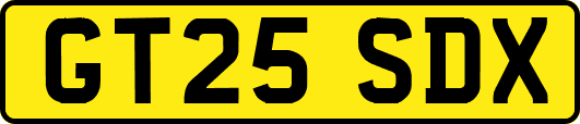 GT25SDX