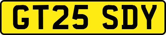 GT25SDY