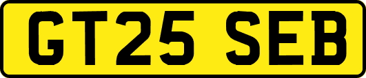 GT25SEB