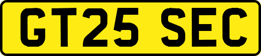 GT25SEC