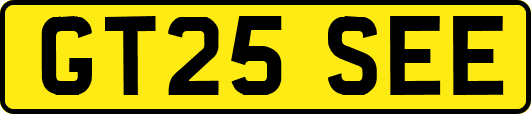 GT25SEE