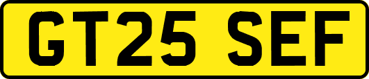 GT25SEF