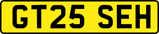 GT25SEH
