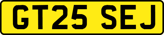 GT25SEJ