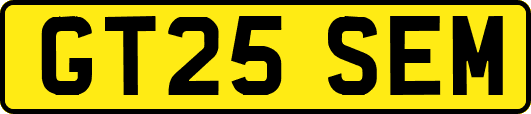 GT25SEM
