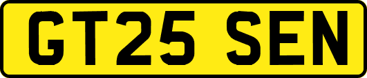 GT25SEN