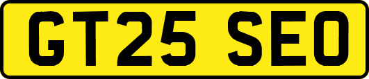 GT25SEO