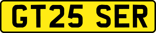 GT25SER