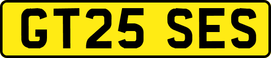 GT25SES