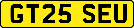 GT25SEU