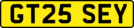 GT25SEY