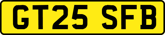GT25SFB