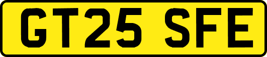 GT25SFE