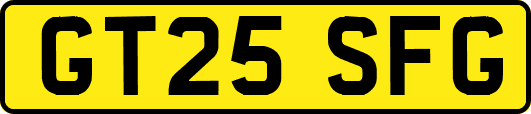 GT25SFG