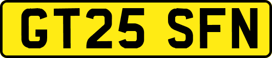 GT25SFN