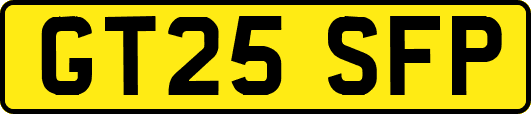GT25SFP