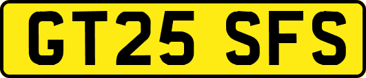 GT25SFS