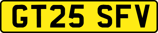GT25SFV