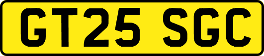 GT25SGC
