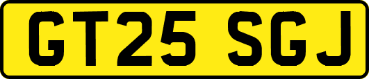 GT25SGJ
