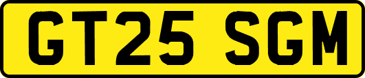GT25SGM